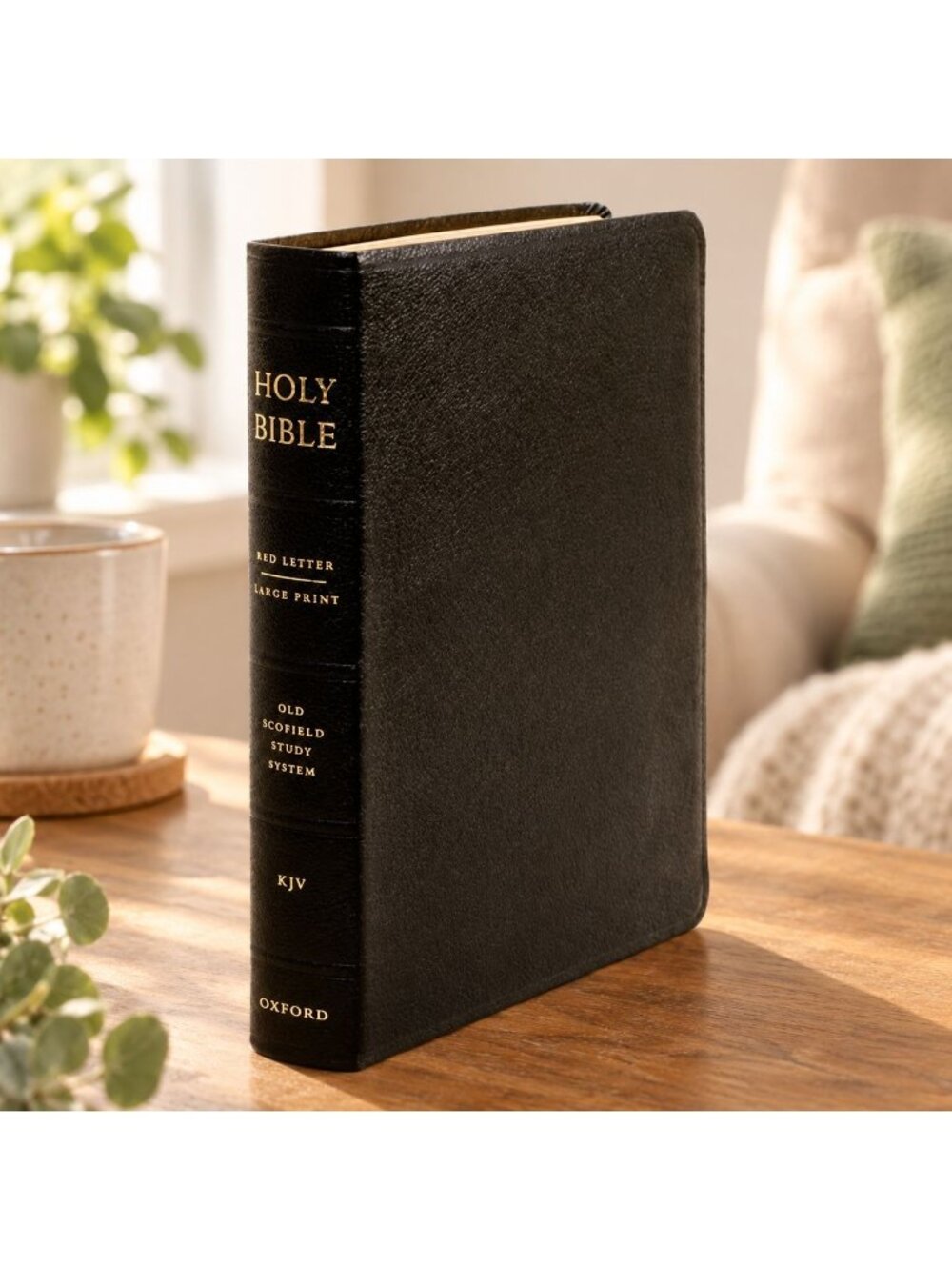 KJV Original Scofield Study Bible 394RRL Large Print Red Letter Black Leather